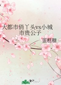 大都市俏丫头vs小城市贵公子