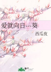 爱就向日---葵