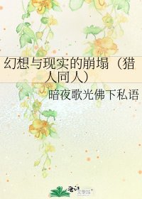 幻想與現實的崩塌(獵人同人)