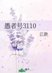 《愚者號3110》