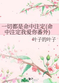 一切都是命中註定(命中註定我愛你番外)