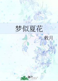 梦似夏花