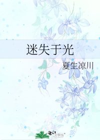 迷失於光