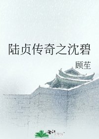 陆贞传奇之沈碧