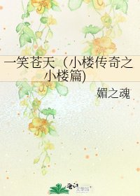 一笑苍天(小楼传奇之小楼篇)