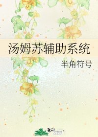 《汤姆苏辅助系统》