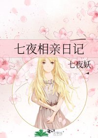 七夜相亲日记