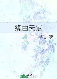 缘由天定