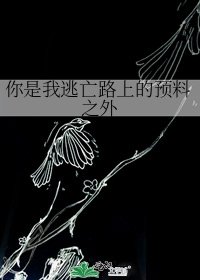 《你是我逃亡路上的预料之外》