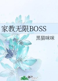 家教无限BOSS