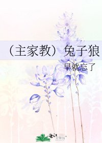 (主家角)兔子狼