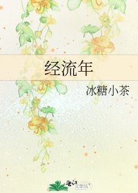 《经流年》