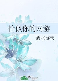 《恰似你的网游》
