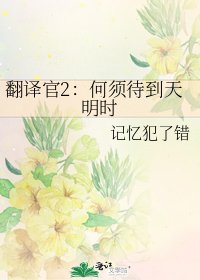 翻译官2:何须待到天明时