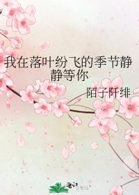我在落葉紛飛的季節靜靜等你
