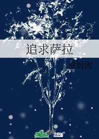 追求萨拉