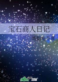 寶石商人日記