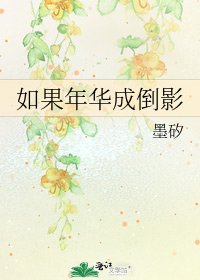 如果年华成倒影