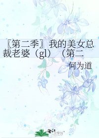 〖第二季〗我的美女总裁老婆(gl)(第二季)
