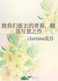 《致我们逝去的青春,精选写意之作》