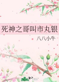 死神之哥叫市丸銀