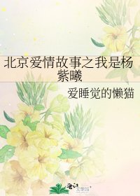 北京爱情故事之我是杨紫曦