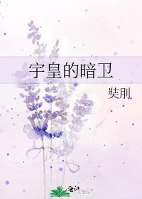 宇皇的暗卫