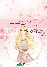 王子与丫头
