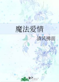 魔法爱情
