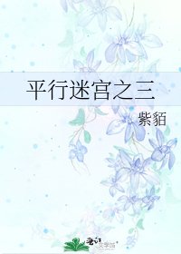 平行迷宮之三