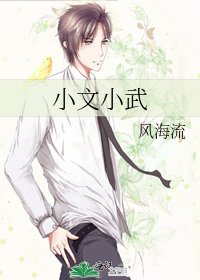 小文小武
