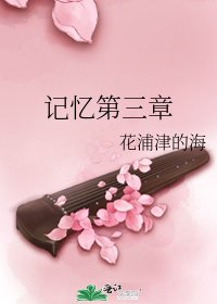 《記憶第三章》