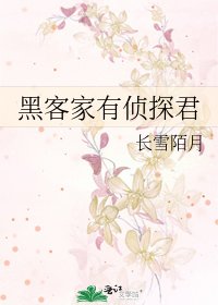 黑客家有侦探君