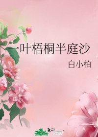 《一叶梧桐半庭沙》