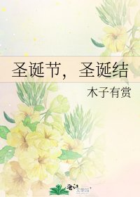 圣诞节,圣诞结