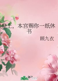 皇上,本宫赐你一纸休书