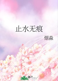 止水无痕