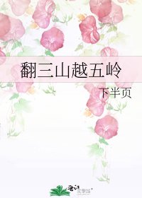 《翻三山越五岭》