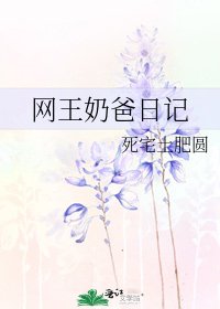 网王奶爸日记