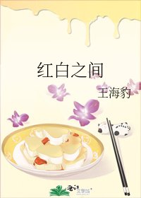 鸿佰之间