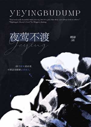 夜莺不渡