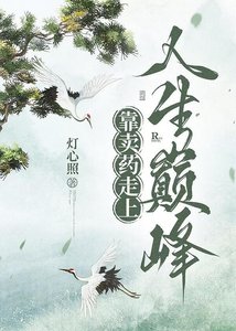《靠卖药走上人生巅峰》