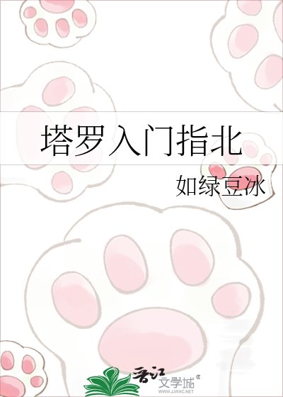 塔罗入门指北