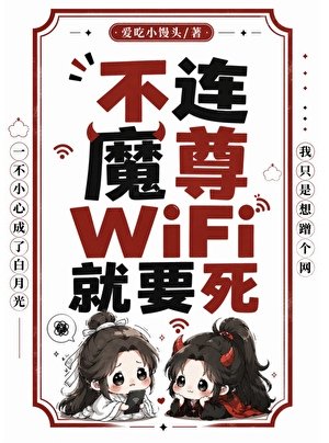 不连魔尊wifi就要司