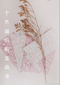 《一個普通的暗戀故事》