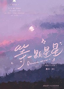 《等一颗星星》