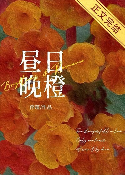 昼婿晚橙