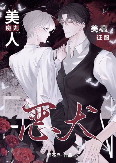 魔丸美人,美高征服惡犬