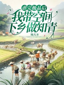 儒完极品侯,我带空间下乡做知青