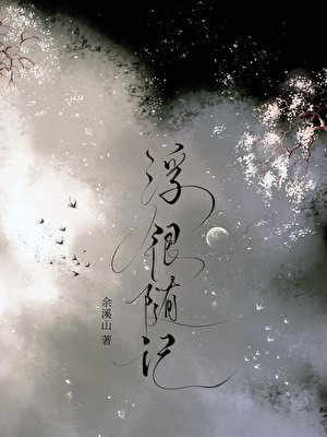 《浮银随记》